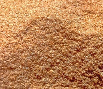 Wheat Bran from PV EXIM