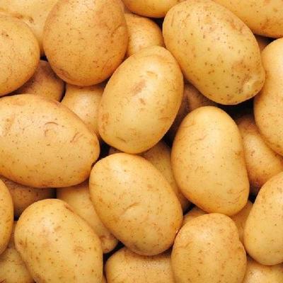 Potato(Aaloo) Online Seller in Varanasi from Sabzzi.com | Subji & Fruit Online Seller in Varanasi Uttar Pradesh