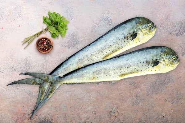 Parlaa-Mahi-Mahi Fish  from OM SAKTHI FISH MARKET RETAIL & WHOLESALER