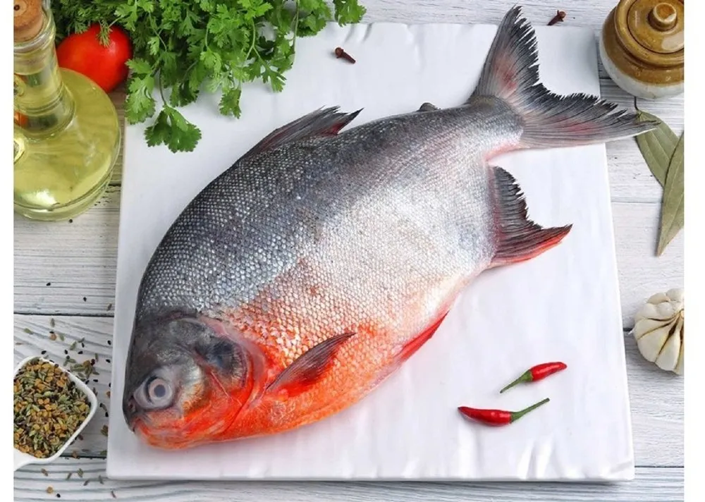 Rupachand Fish from OM SAKTHI FISH MARKET RETAIL & WHOLESALER