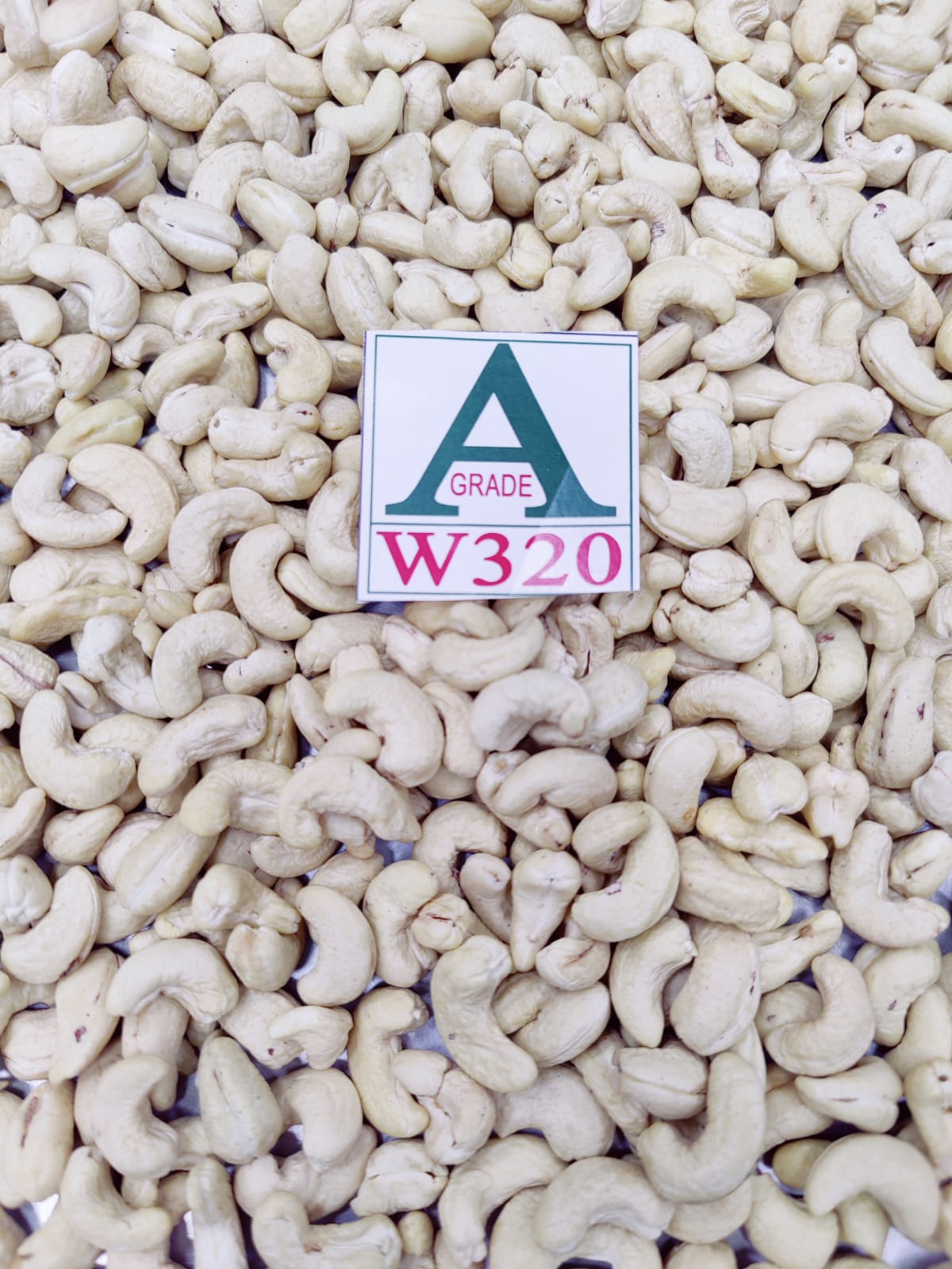 Top Quality Cashew Nuts Grade AW320 from Aditya Nuts & Spices 