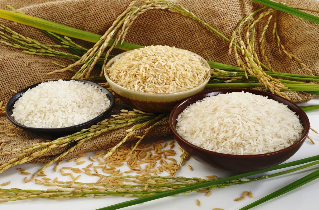 100% Natural Processed Raw Rice from Karupatti - House of Palm