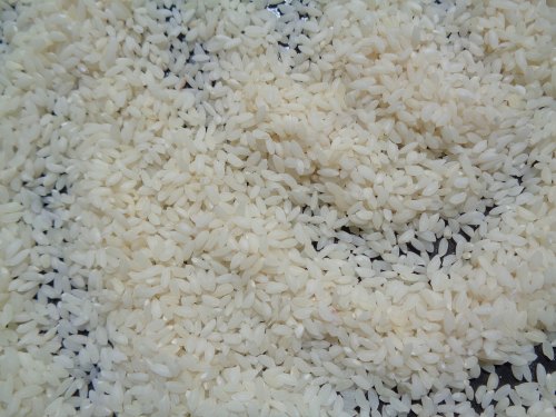 Jeerakasala Rice from South Land Trading