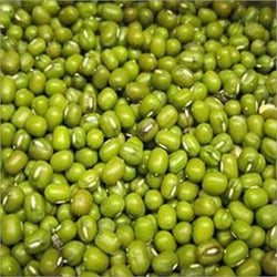 Green Gram (Mung) from PANKAJ AGRO PROCESSING PRIVATE LIMITED