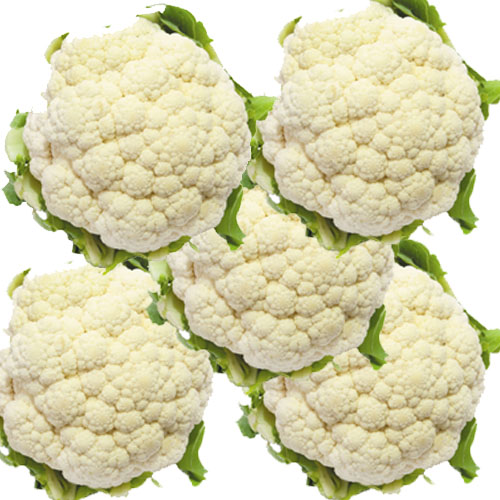 Organic & Fresh Cauliflower from EXPO TRADING