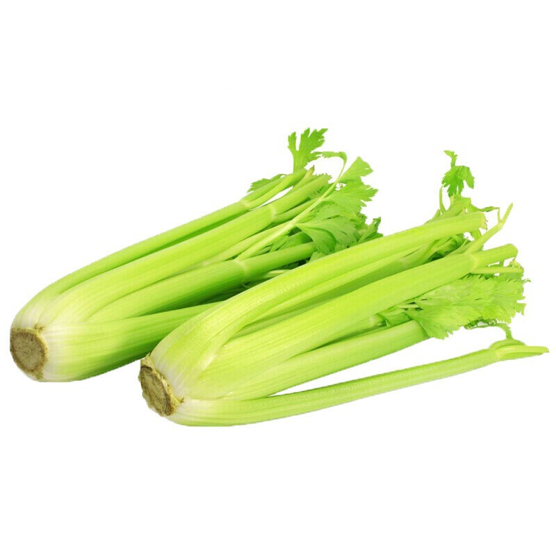 Fresh celery from STANDARD FOCUS ROYALLERE INTERNATIONAL LIMITED