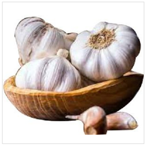 Natural Fresh White Garlic from Dhanraj World of Export