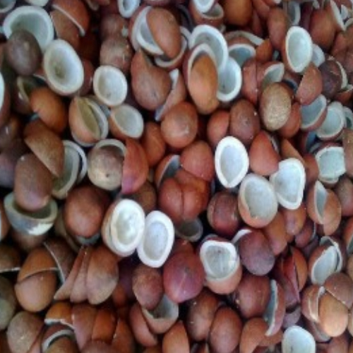 Best Quality Dry Coconut from Rameshwaram Agro Exporters from Rameshwaram Agro Exporters