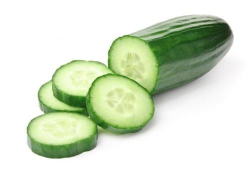 Fresh Cucumber from Chauhan Exim