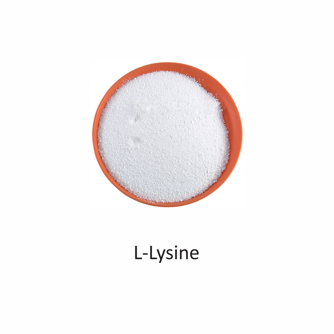 L-Lysine from Tanmaay Exports