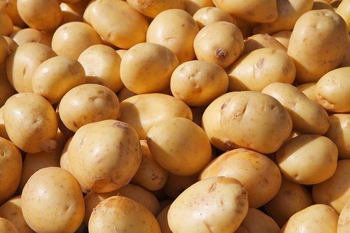 Export Quality Potato From Ethiopia from SARA BERHANU Import and Export PLC