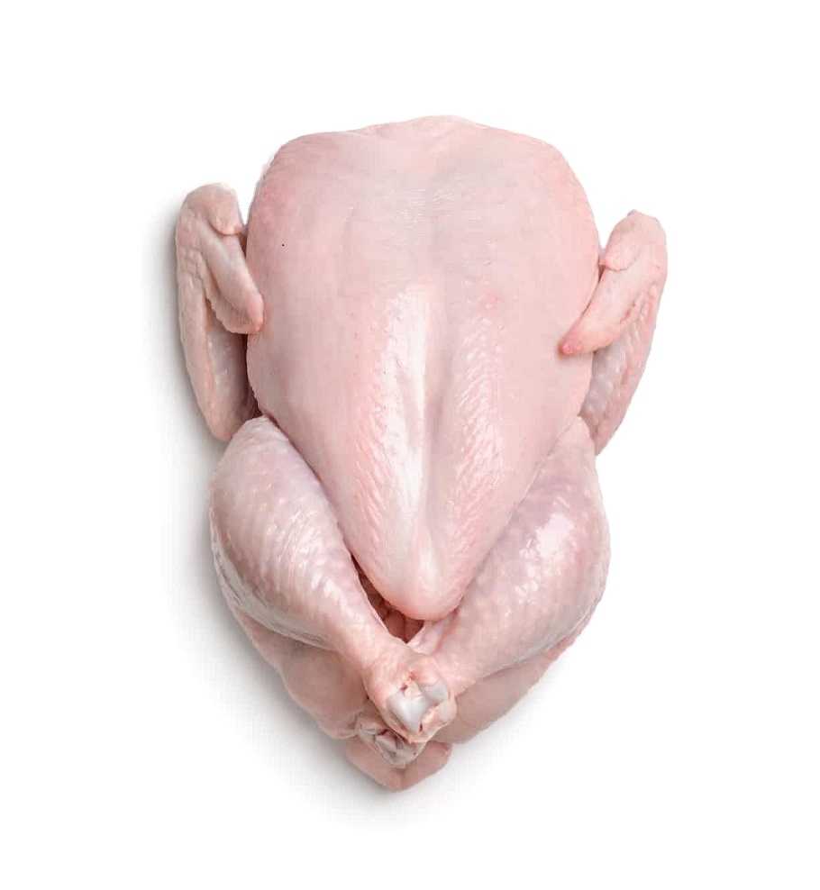 Fresh Chicken Meat  from Latmek Exporters