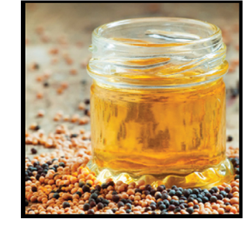 Crude Mustard Oil from Shree Oils & Fats Pvt. Ltd.