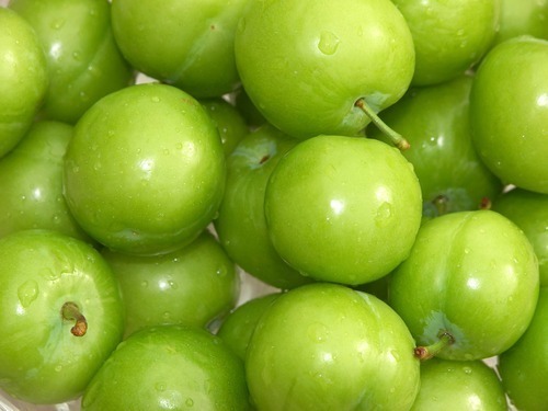 Green Tomatoes from Chauhan Exim