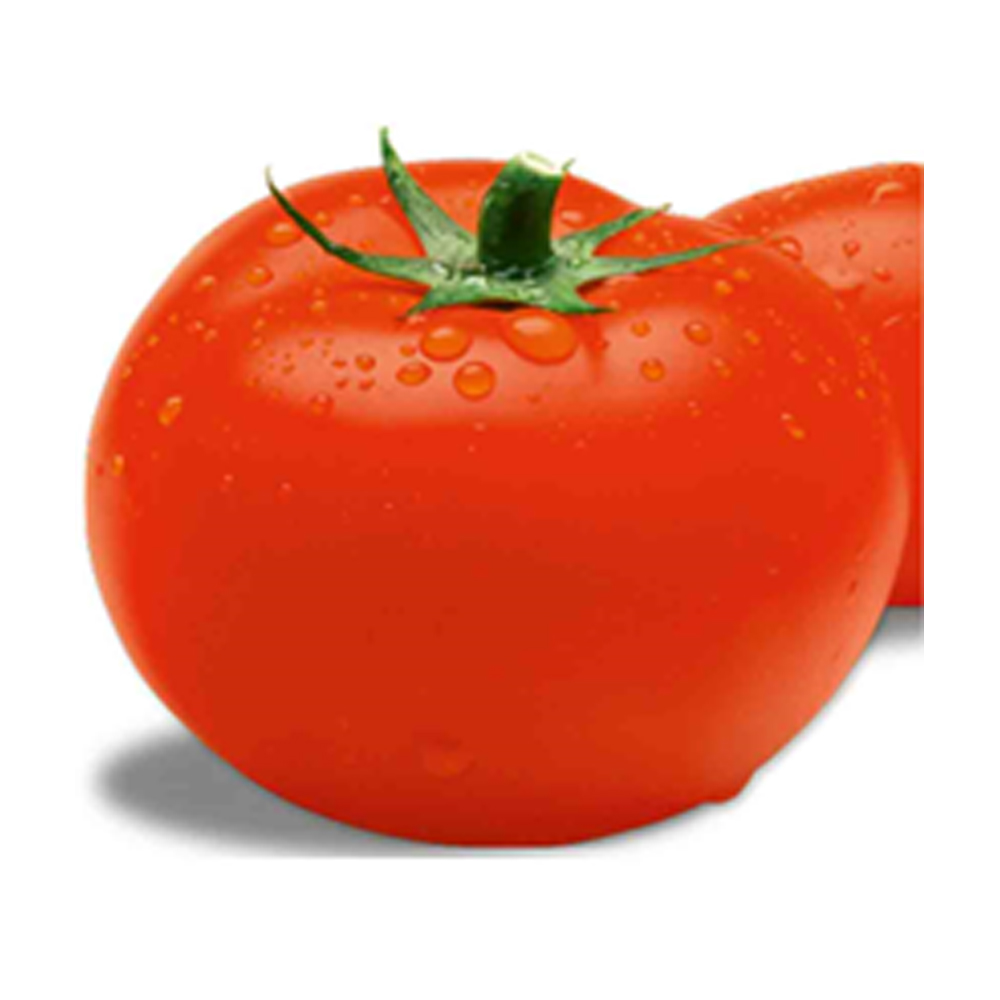 Tomato Unisem – Kavaya from KissanPro