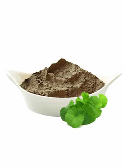 Brahmi Powder (Bacopa Monnieri) from Indian henna supplier and henna products exporter - Natural Herbal