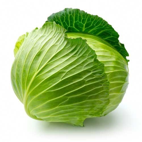 Fresh Cabbage from Chauhan Exim