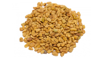 Good Quality Fenugreek from BOS Natural Flavors P Ltd 