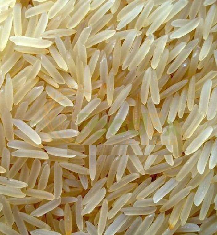 Sharbati Golden Sella Basmati Rice