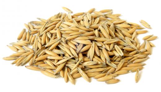 Whole oat grains