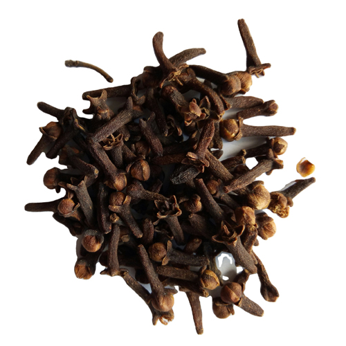 Pure Clove Bud For Wholesale from BOS Natural Flavors P Ltd 