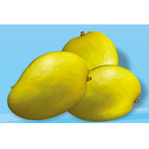 Best Quality Himapasand Mango from Ranee's Fresh