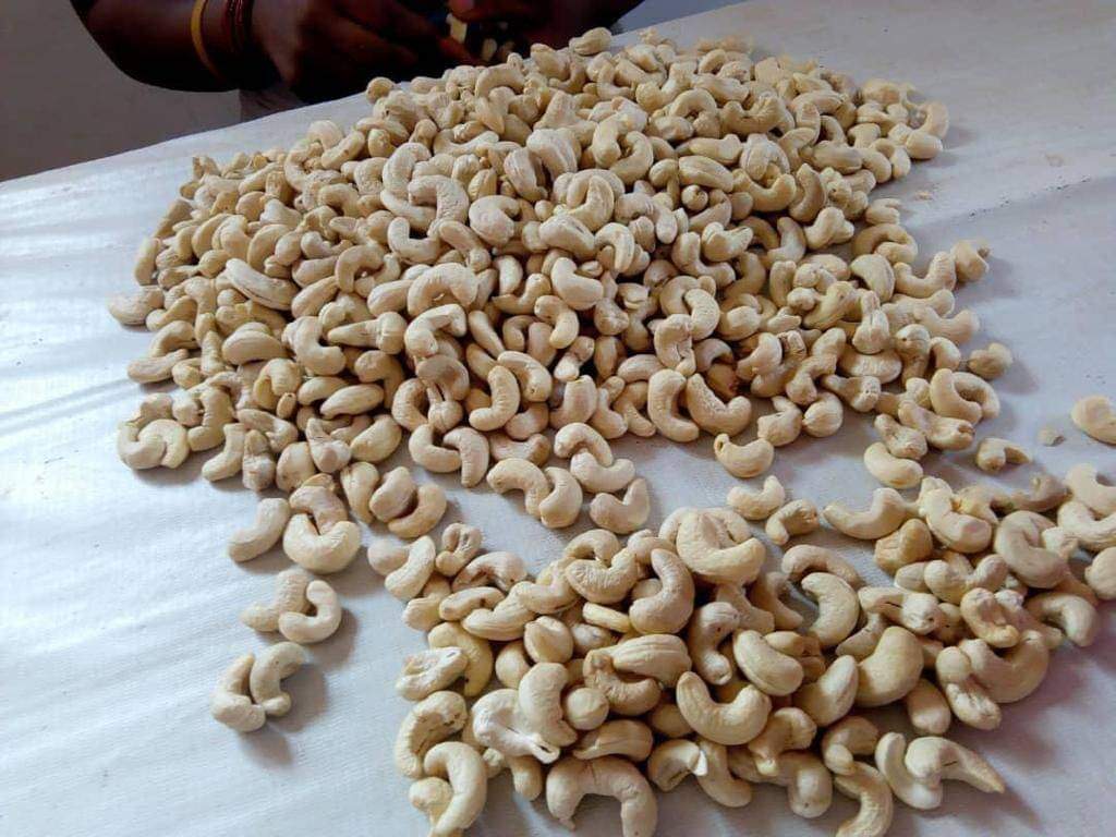 Best Quality Cashew nuts  from Max & Maxis Global Service Limited 