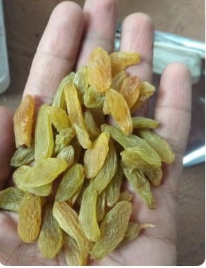 A Grade Fresh Green Raisins  from Riddhi Dry Fruits