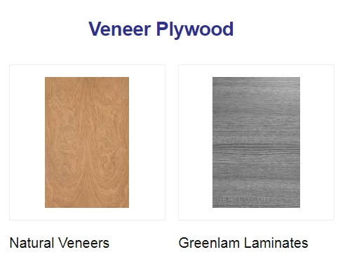 Veneer Plywood from Shree Jeen Plywood
