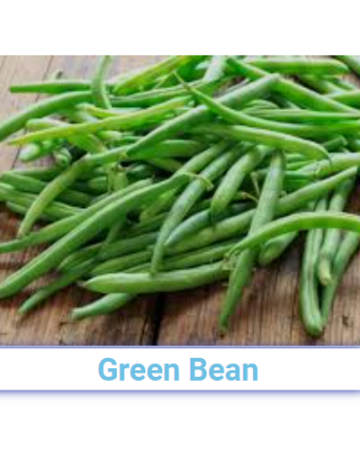 A Grade Fresh Green Bean - Pan India from SRG EXIM