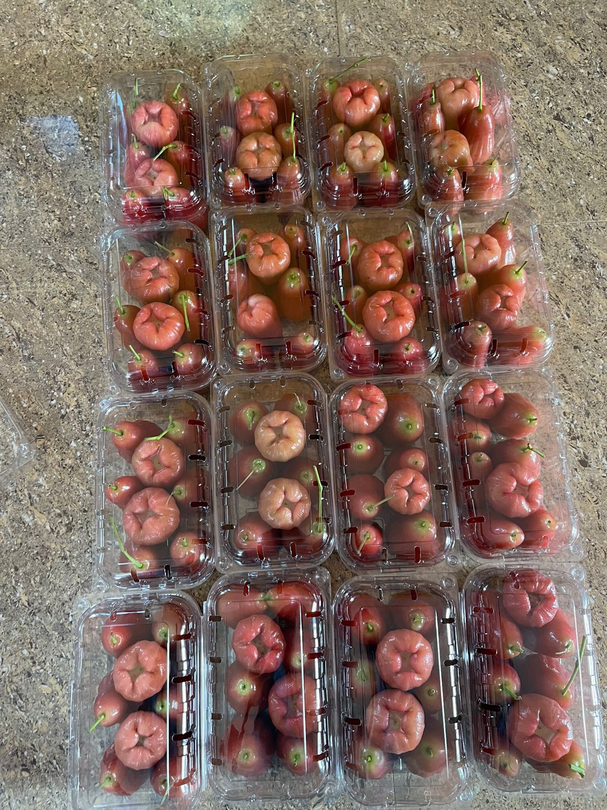 Packaged Red Water Apple from Vibha Agrifarms