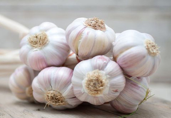 A Grade Fresh Whole Garlic from Harsha & Co