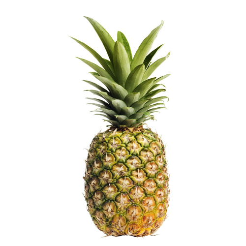 Organic & Fresh Pineapples at Wholesale Price from EXPO TRADING