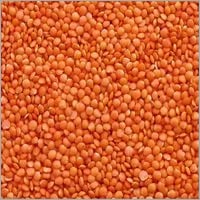 Whole Masoor Dal from Ginni & Sons