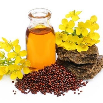 Best Quality Mustard Oil