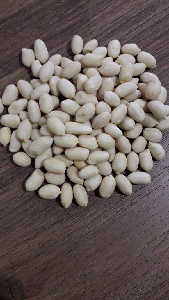 Best Quality Whole Peanut Blanch from Gurukripa Trading Co