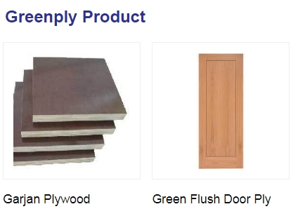 Greenply Product from Shree Jeen Plywood