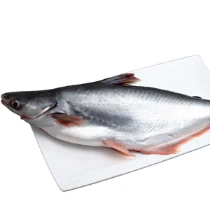 Basa Fish from OM SAKTHI FISH MARKET RETAIL & WHOLESALER