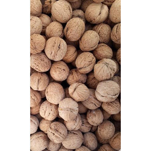 Kashmiri Shell Walnuts from Retaj Agro Farm