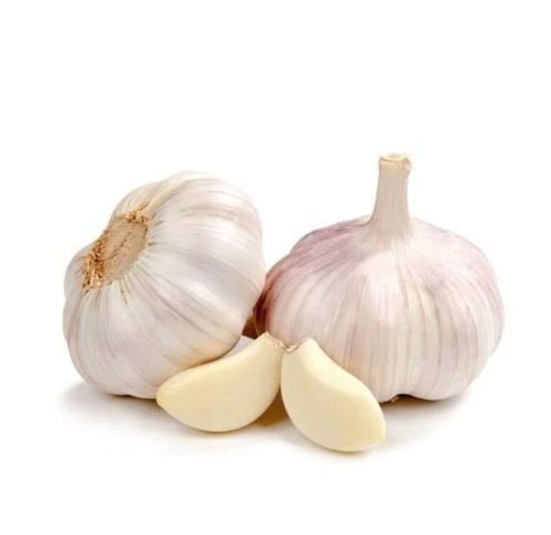Garlic from MGR TRADERS