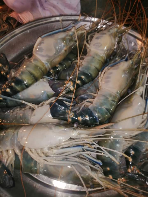 Wild Farmed Shrimp Fish from Max & Maxis Global Service Limited 