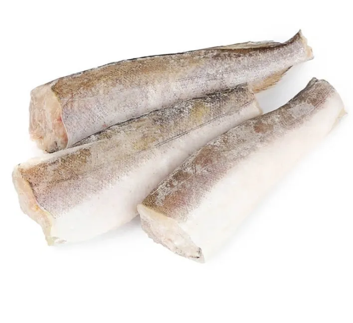 Frozen Hake Fish 