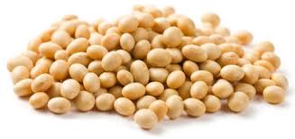 Premium Quality Organic Soybean Seeds from Laxmi Traders