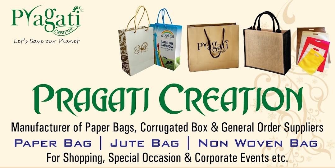 Paper Bag  from PRAGATI CREATION