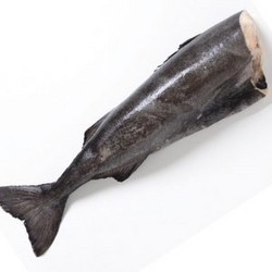 Sea Food (Black Cod Whole Head-off Tail-on)