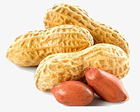 Best Quality Fresh Groundnut (Peanuts) from Mr RKR Creativity
