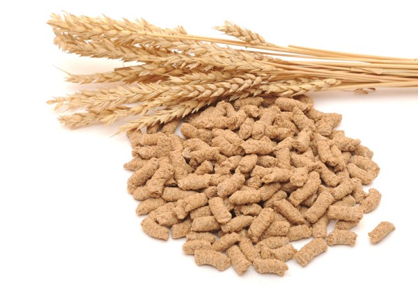 Wheat Bran for animal feed from EXG SP ZOO