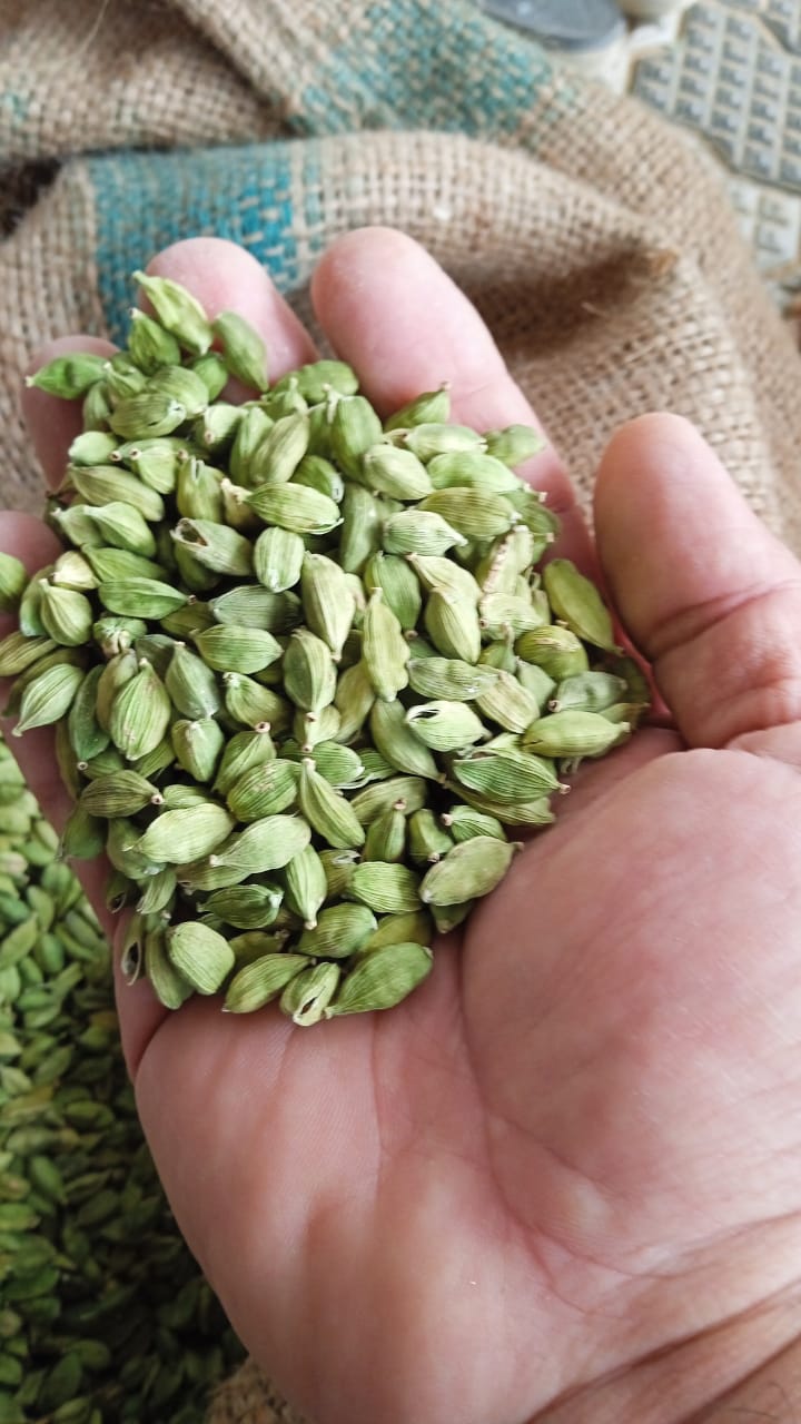 Best Quality Cardamom (Elaichi)