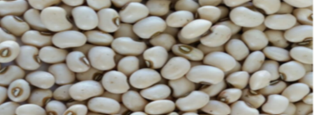 Brown Eyed Beans from AUREA INTERNACIONAL 