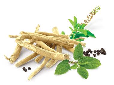 Ashwagandha  from Natural healing center 